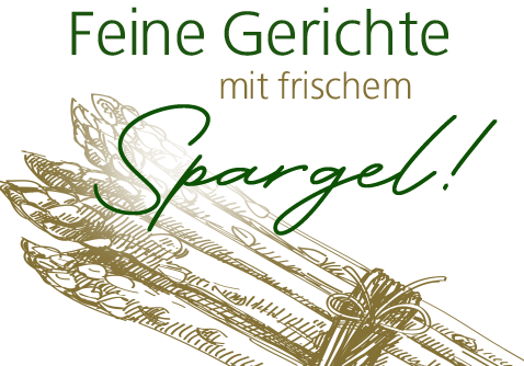 Illustration von weißem Spargel