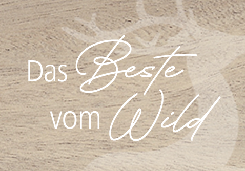 Illustration eines Hirsches